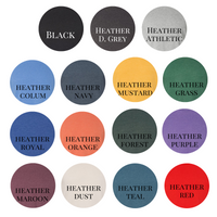 School Name and Mascot Adult Mascot Shirt